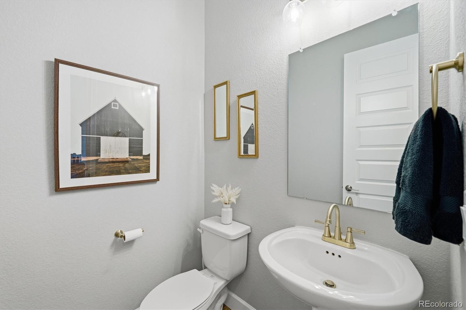 3258 Carabiner Street Castle Rock CO 80108