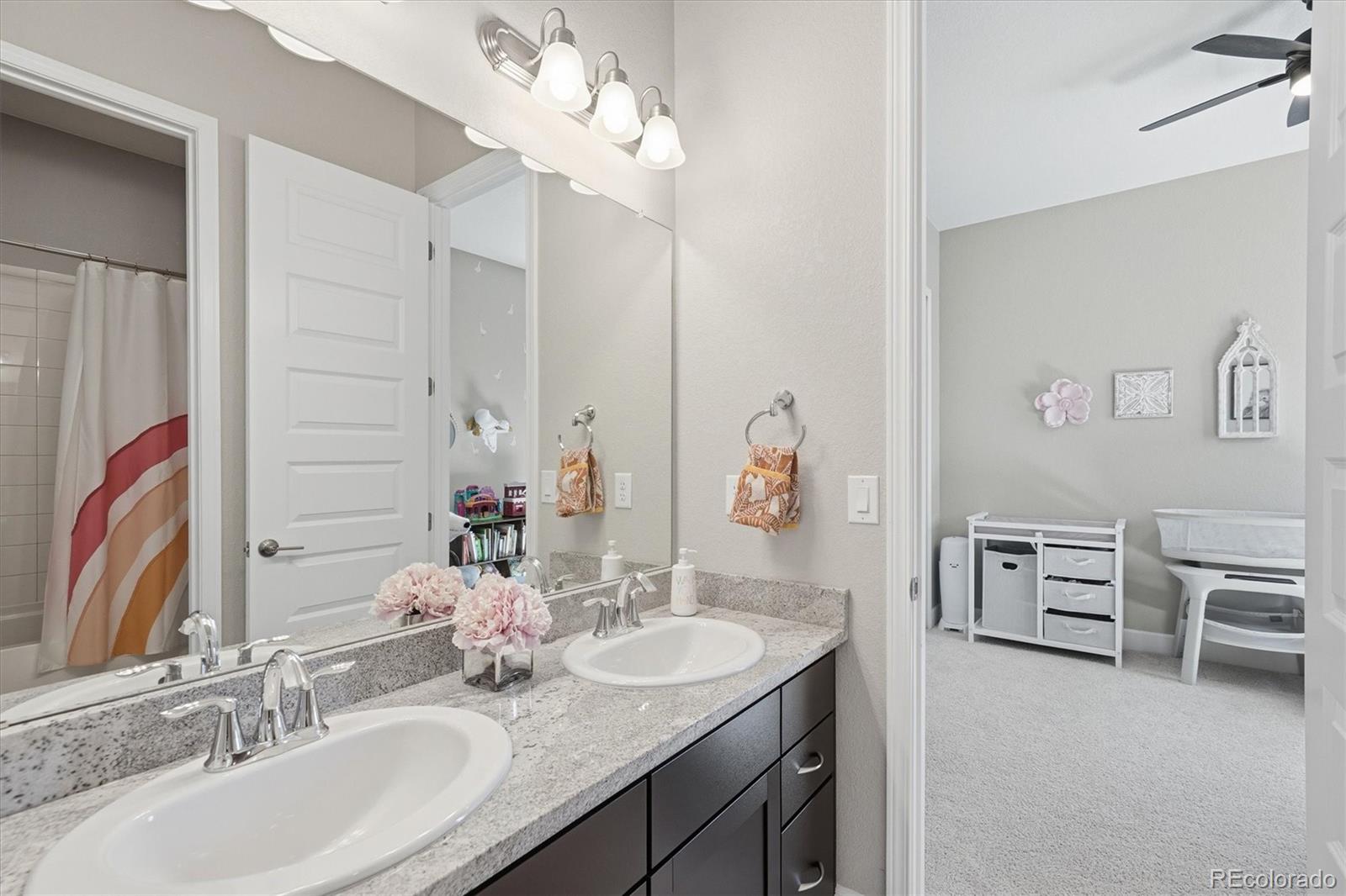 3258 Carabiner Street Castle Rock CO 80108