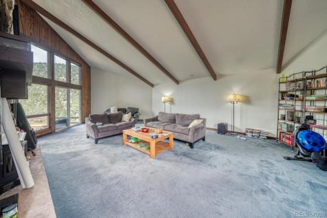 15351 Chimney Rock Road Nathrop CO 81236