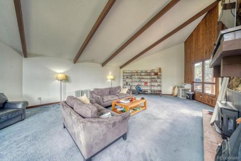 15351 Chimney Rock Road Nathrop CO 81236