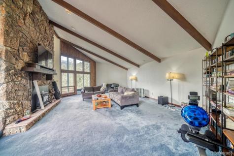 15351 Chimney Rock Road Nathrop CO 81236