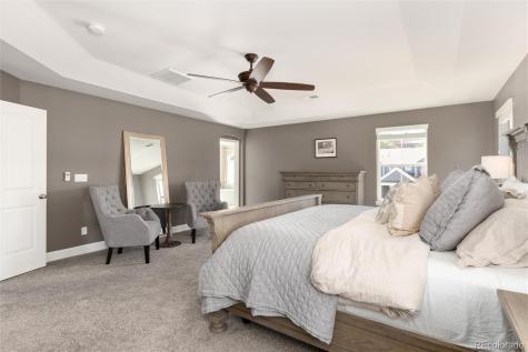 3112 Starry Night Loop Castle Rock CO 80109
