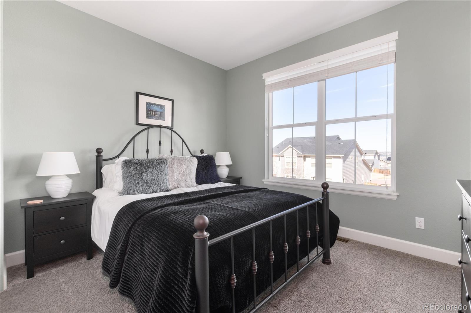 3112 Starry Night Loop Castle Rock CO 80109
