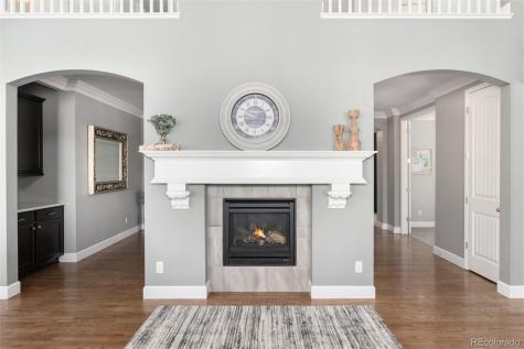 3112 Starry Night Loop Castle Rock CO 80109
