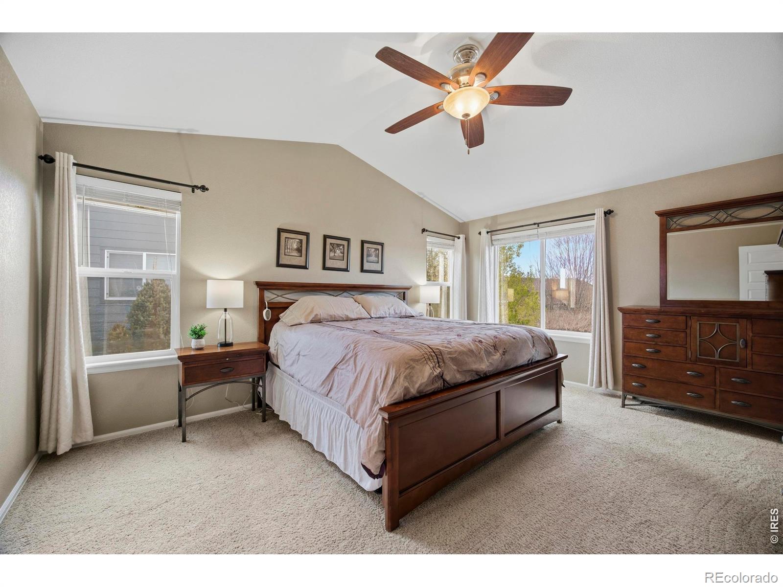6528 Richland Avenue Timnath CO 80547