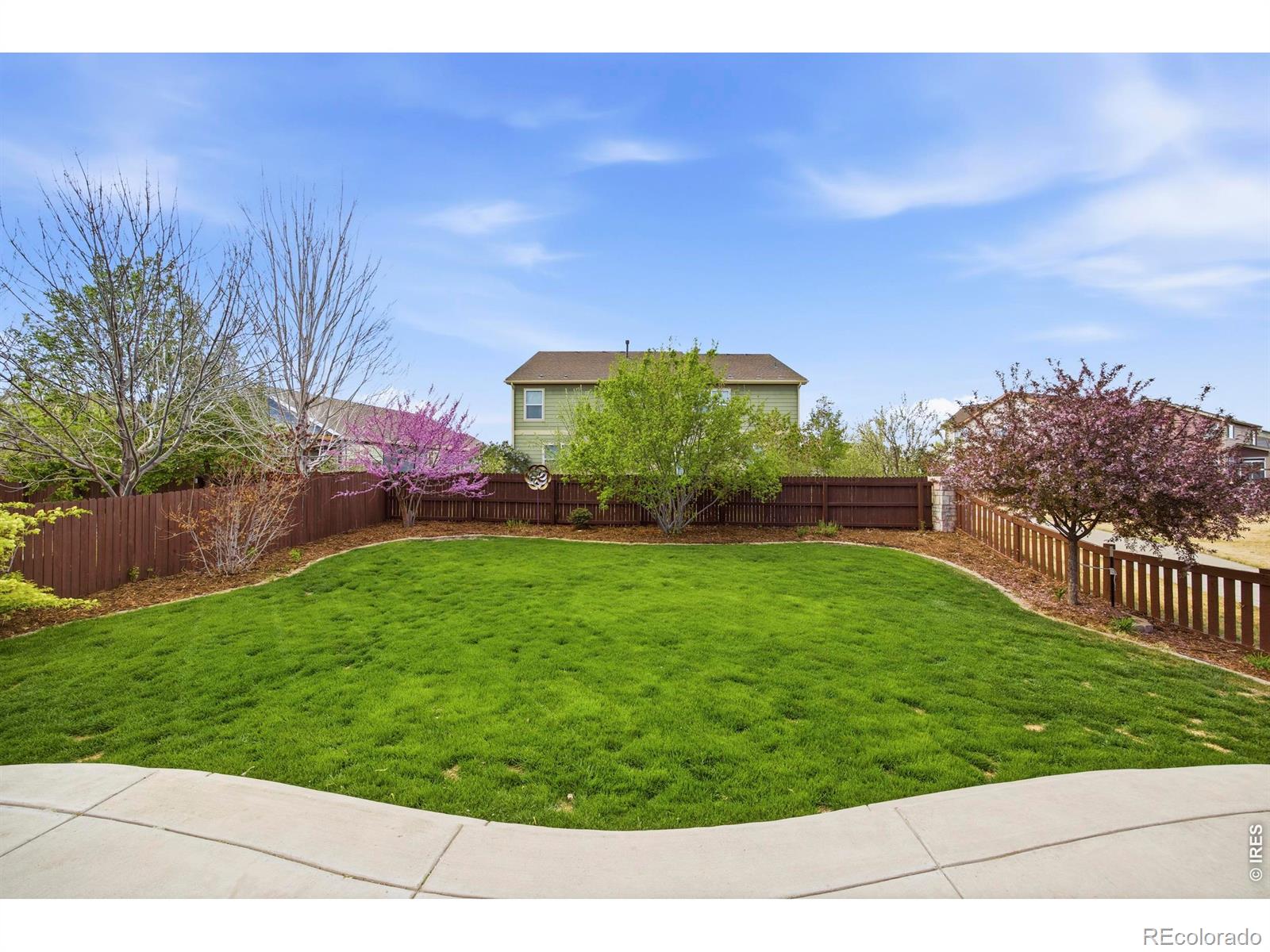 6528 Richland Avenue Timnath CO 80547
