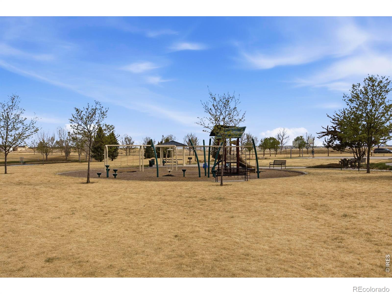 6528 Richland Avenue Timnath CO 80547