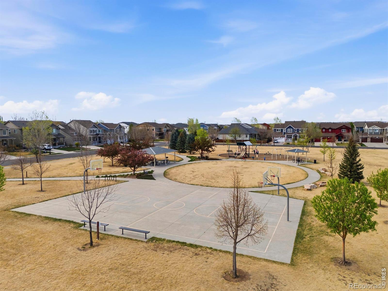 6528 Richland Avenue Timnath CO 80547