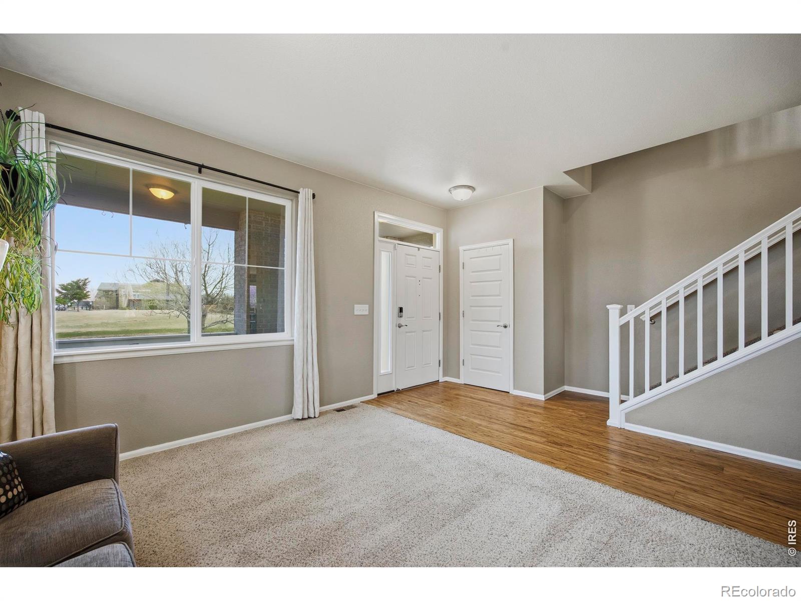 6528 Richland Avenue Timnath CO 80547