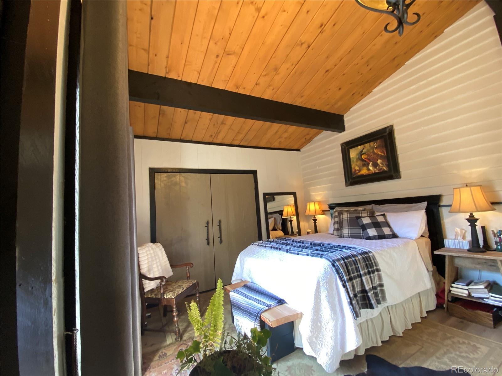16165 Burt Gulch Road Buena Vista CO 81211