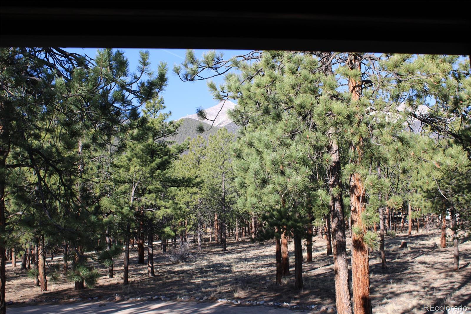 16165 Burt Gulch Road Buena Vista CO 81211