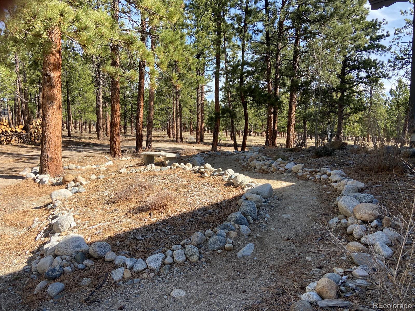 16165 Burt Gulch Road Buena Vista CO 81211