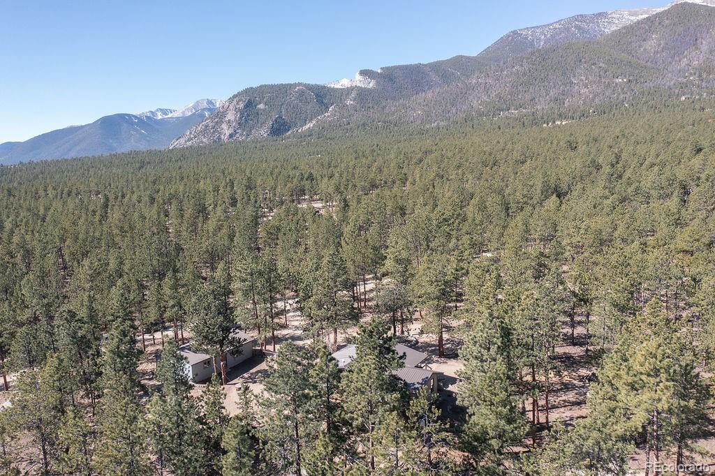 16165 Burt Gulch Road Buena Vista CO 81211