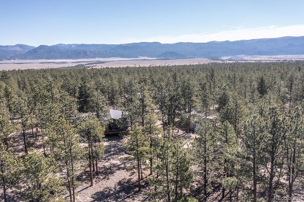 16165 Burt Gulch Road Buena Vista CO 81211