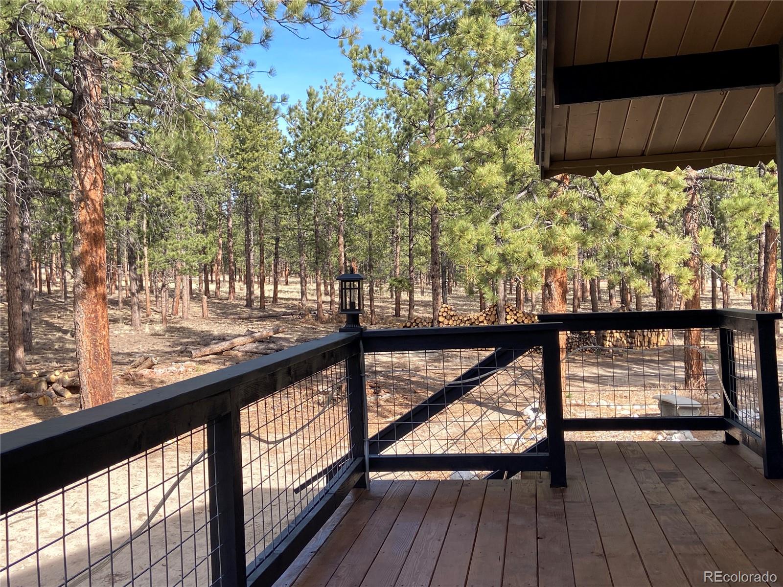 16165 Burt Gulch Road Buena Vista CO 81211