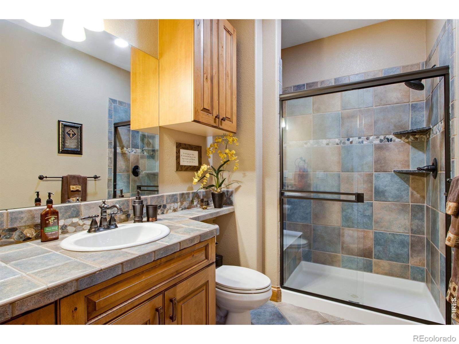 4433 Tierra Alta Drive Castle Rock CO 80104
