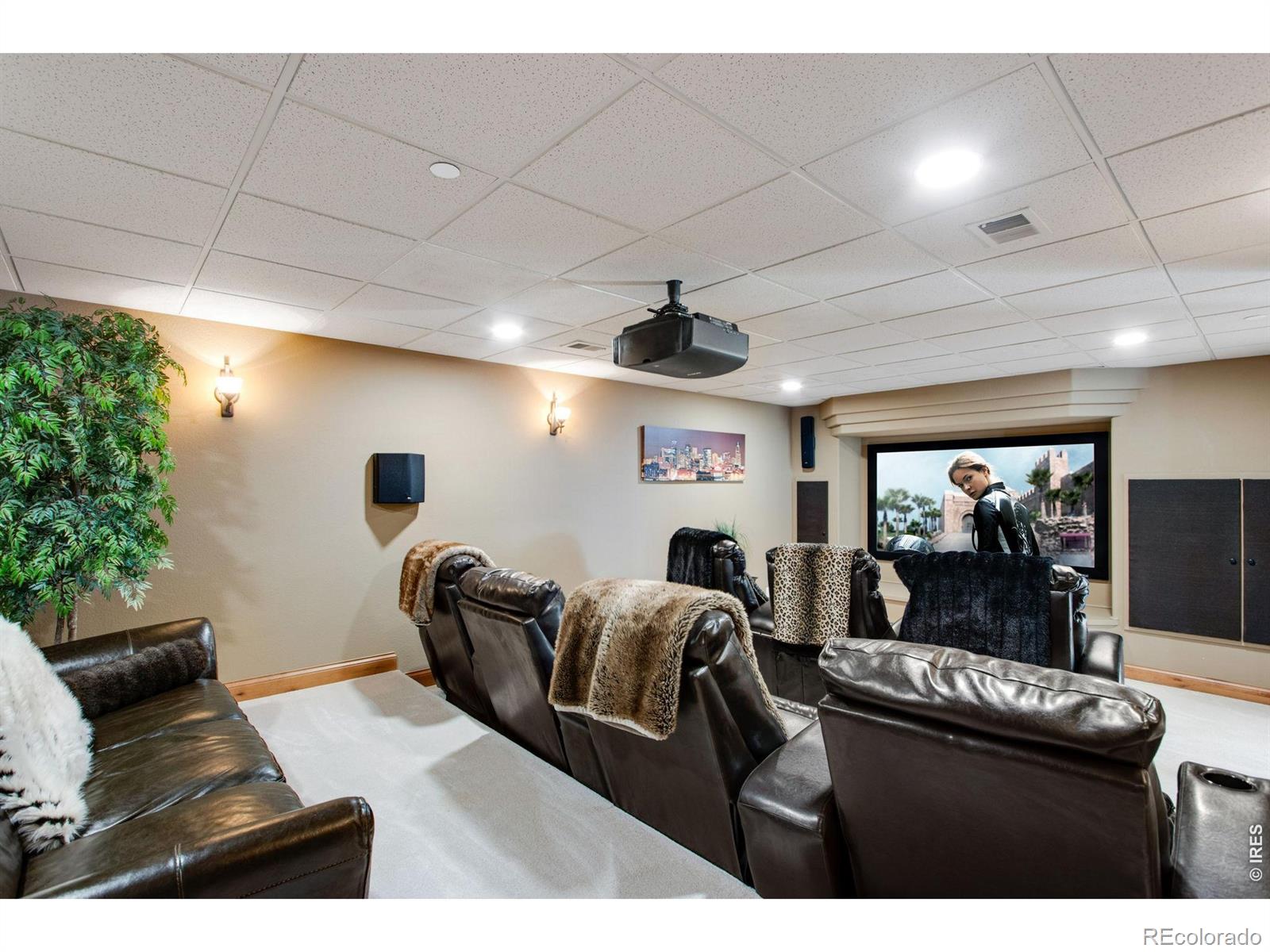 4433 Tierra Alta Drive Castle Rock CO 80104