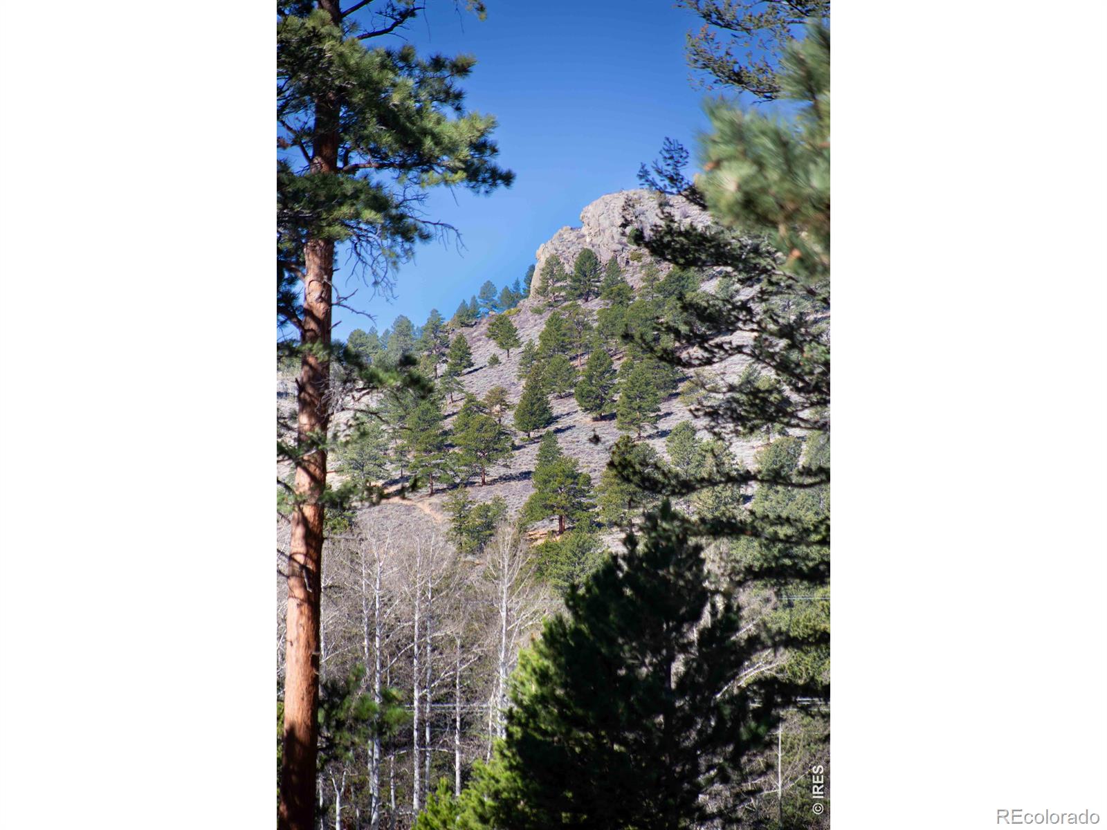 2728 Cumulus Drive Estes Park CO 80517