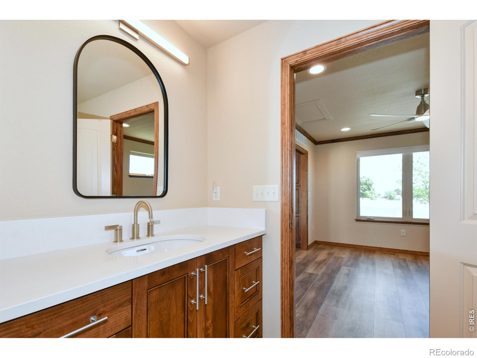 4479 Bragg Lane Wellington CO 80549