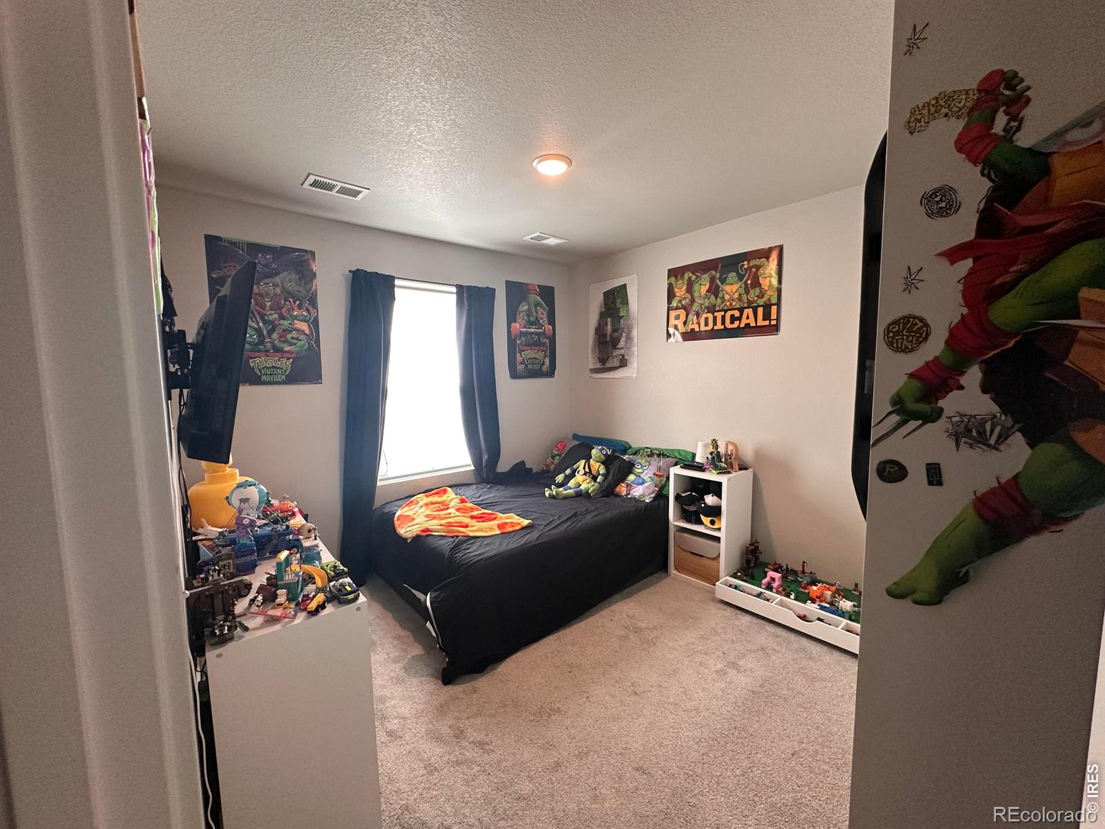 331 Lone Pine Street Fort Lupton CO 80621