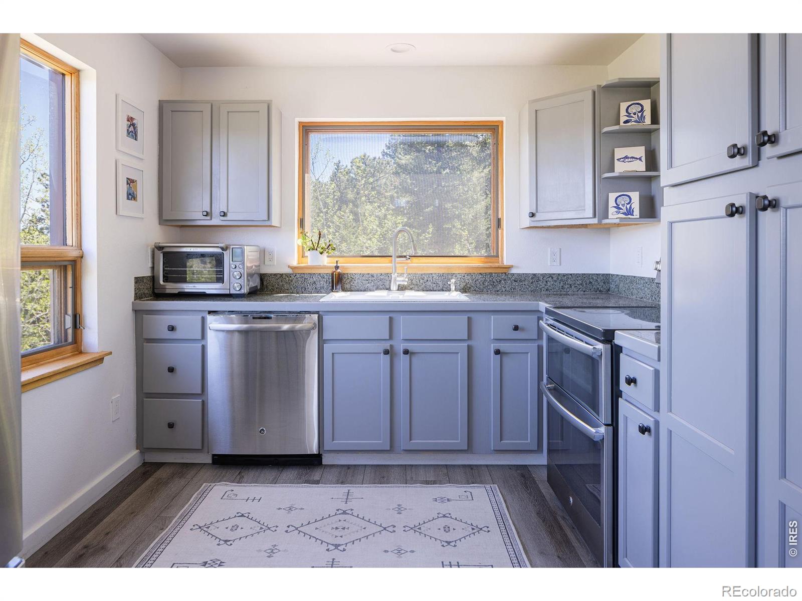103 Last Chance Court Nederland CO 80466