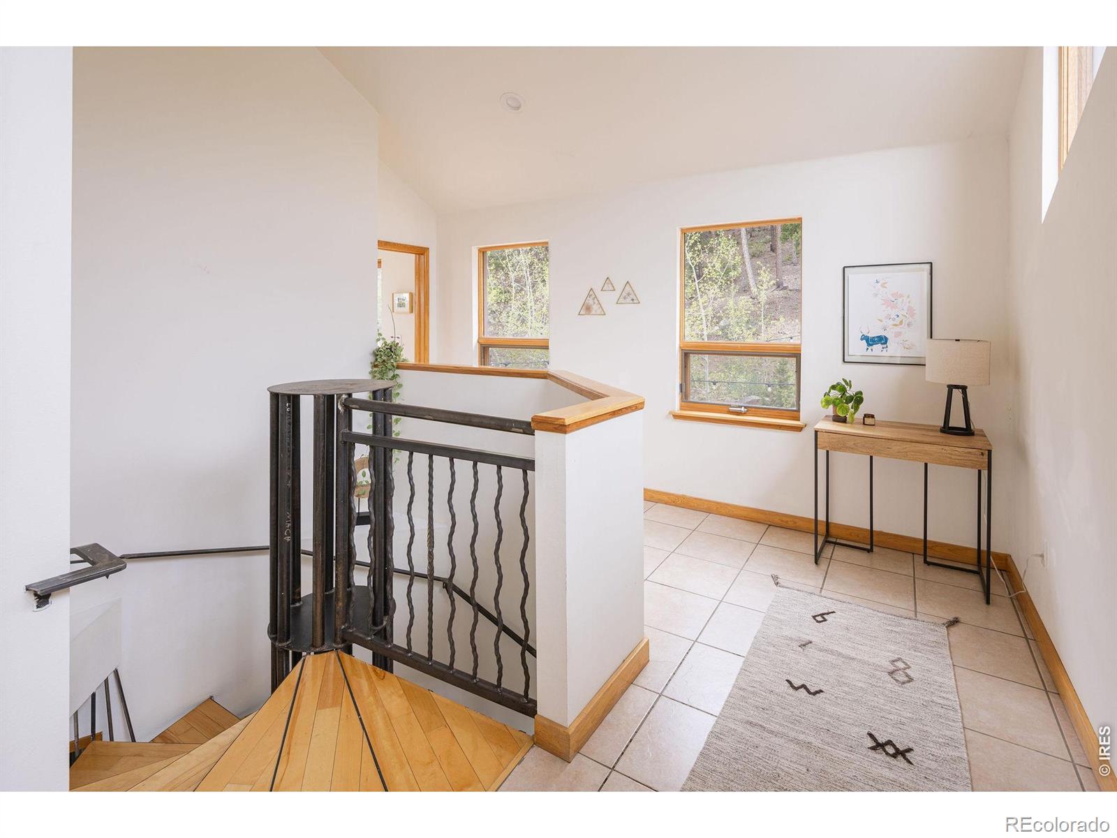 103 Last Chance Court Nederland CO 80466