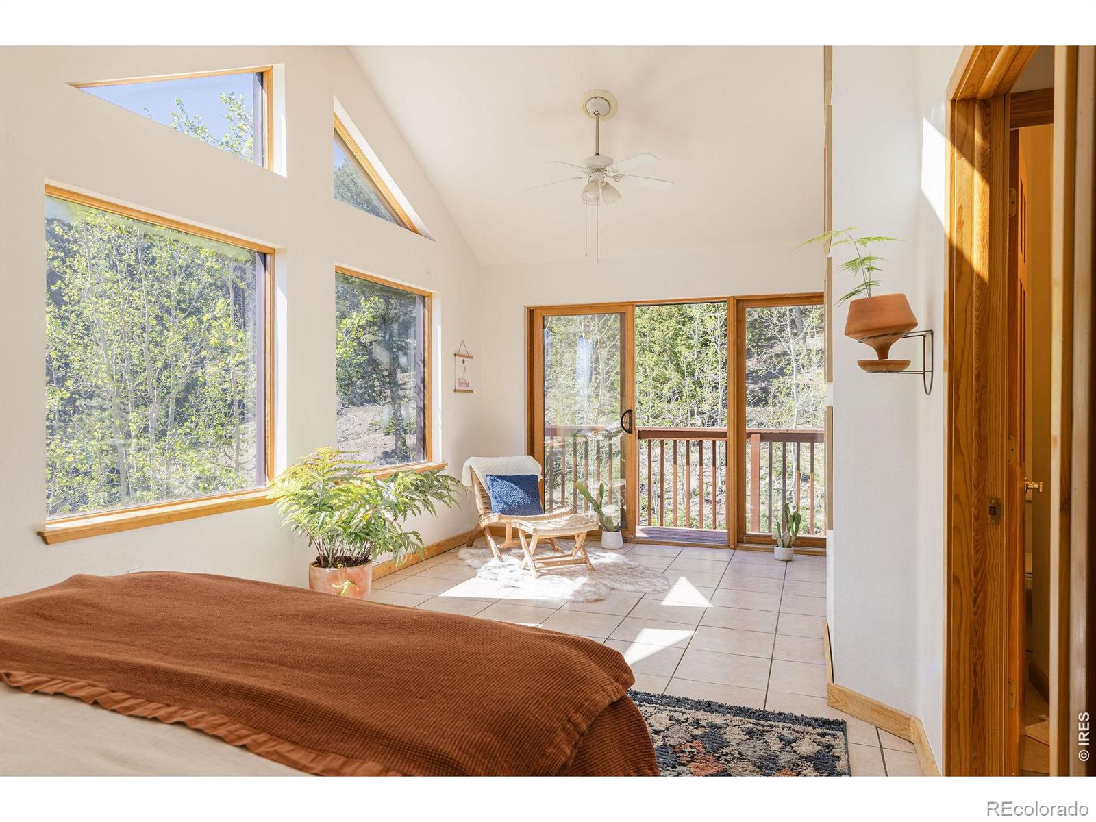 103 Last Chance Court Nederland CO 80466