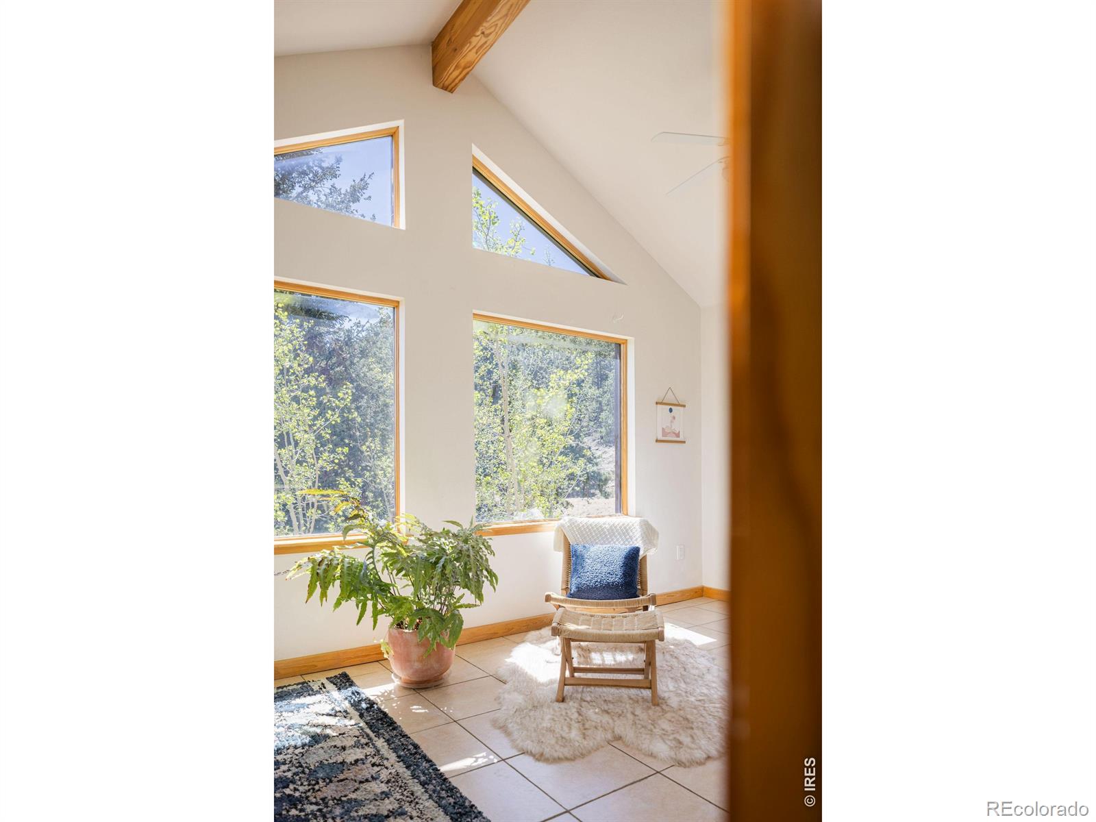 103 Last Chance Court Nederland CO 80466