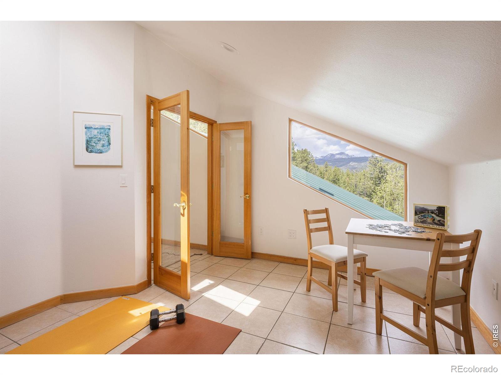 103 Last Chance Court Nederland CO 80466