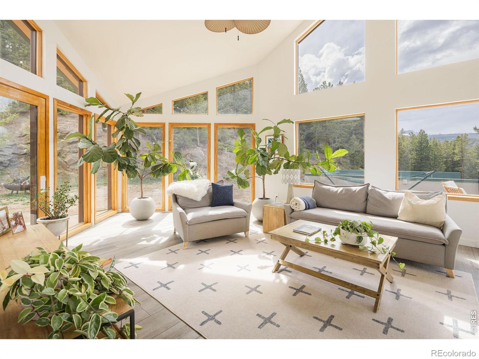 103 Last Chance Court Nederland CO 80466