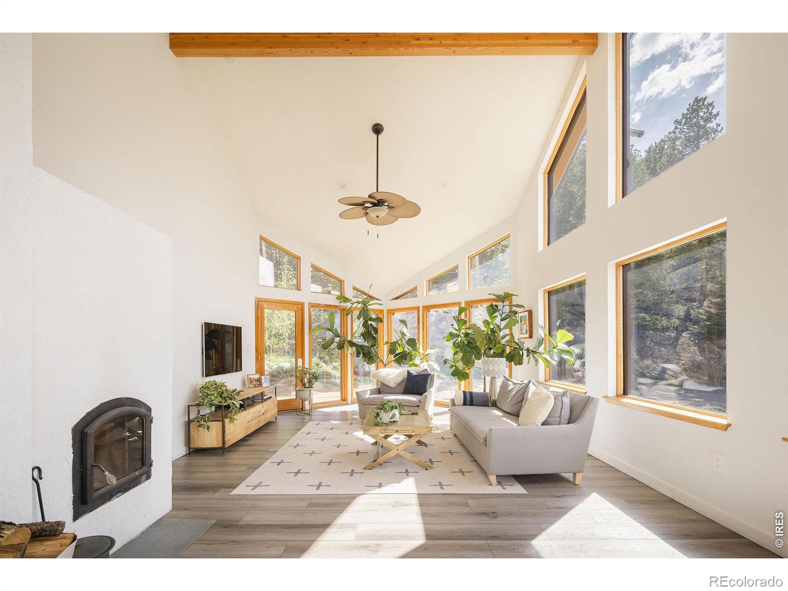 103 Last Chance Court Nederland CO 80466