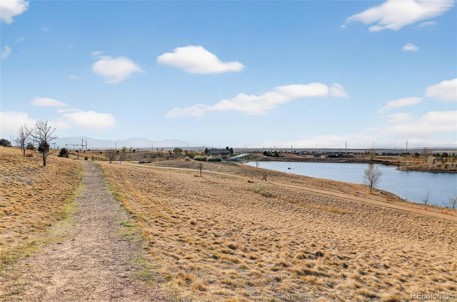 16036 Swan Mountain Drive Broomfield CO 80023