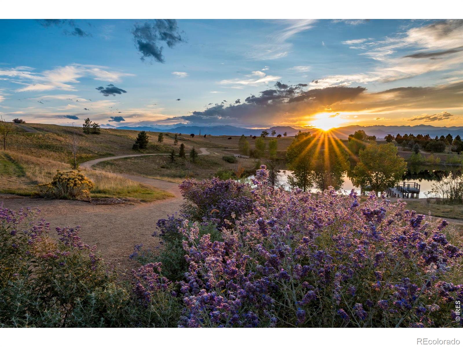 15947 Antora Peak Drive Broomfield CO 80023