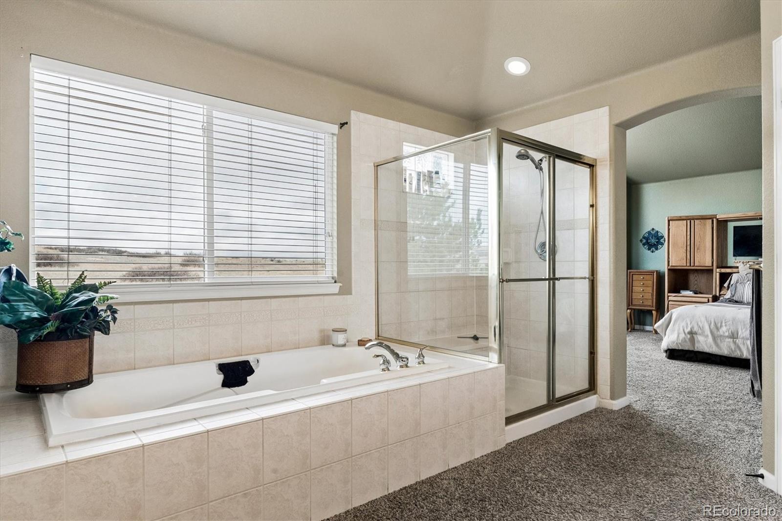 6977 Chestnut Court Parker CO 80134