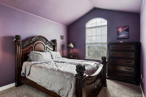 6977 Chestnut Court Parker CO 80134