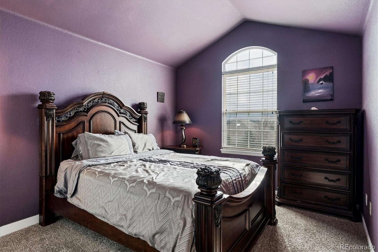 6977 Chestnut Court Parker CO 80134