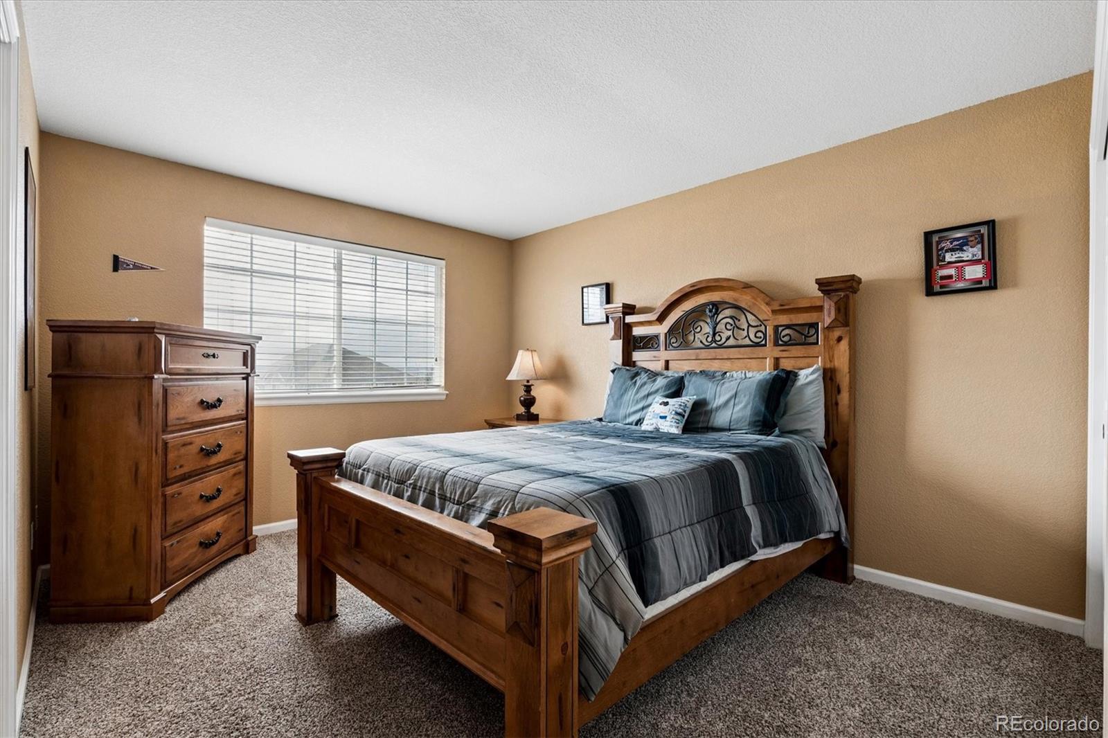 6977 Chestnut Court Parker CO 80134