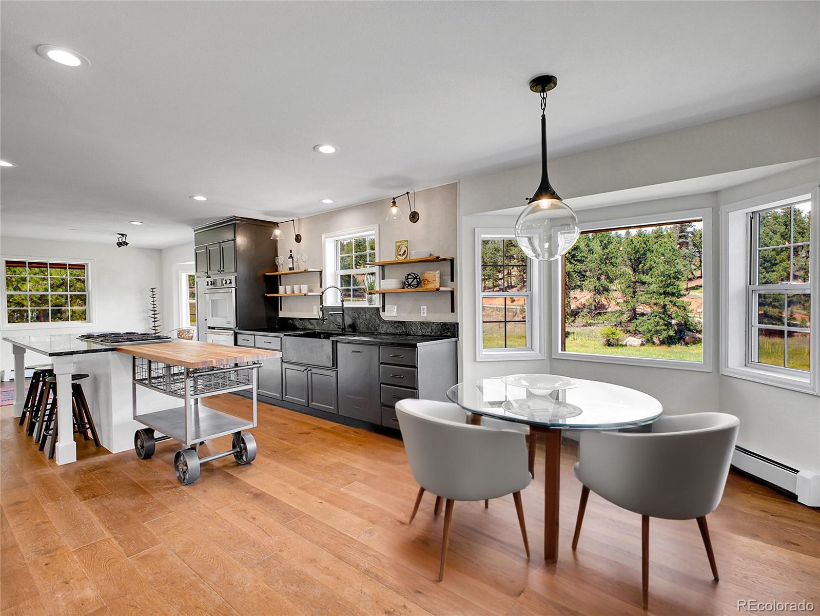 2635 Nova Road Pine CO 80470