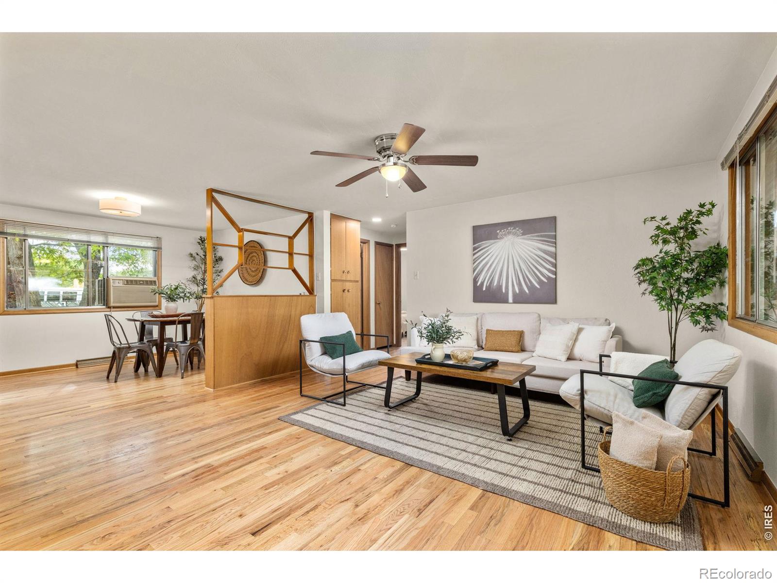 1224 Judson Street Longmont CO 80501