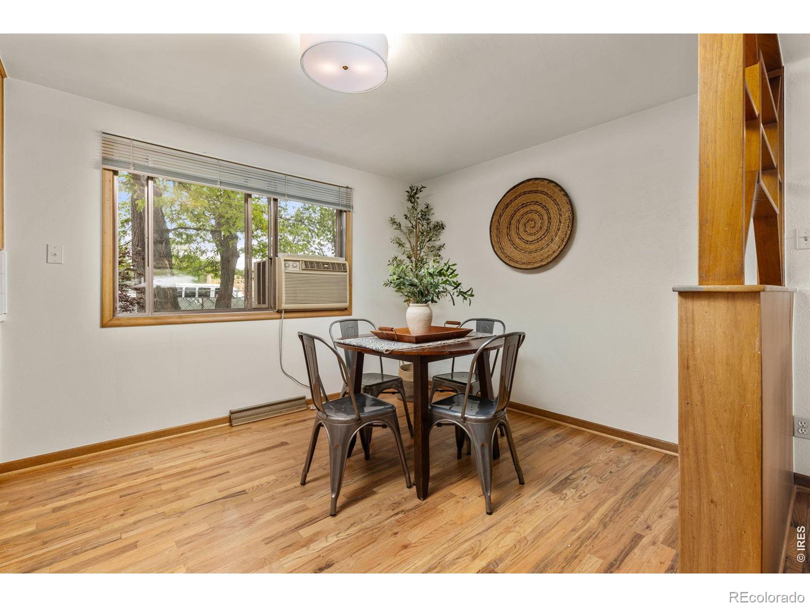 1224 Judson Street Longmont CO 80501