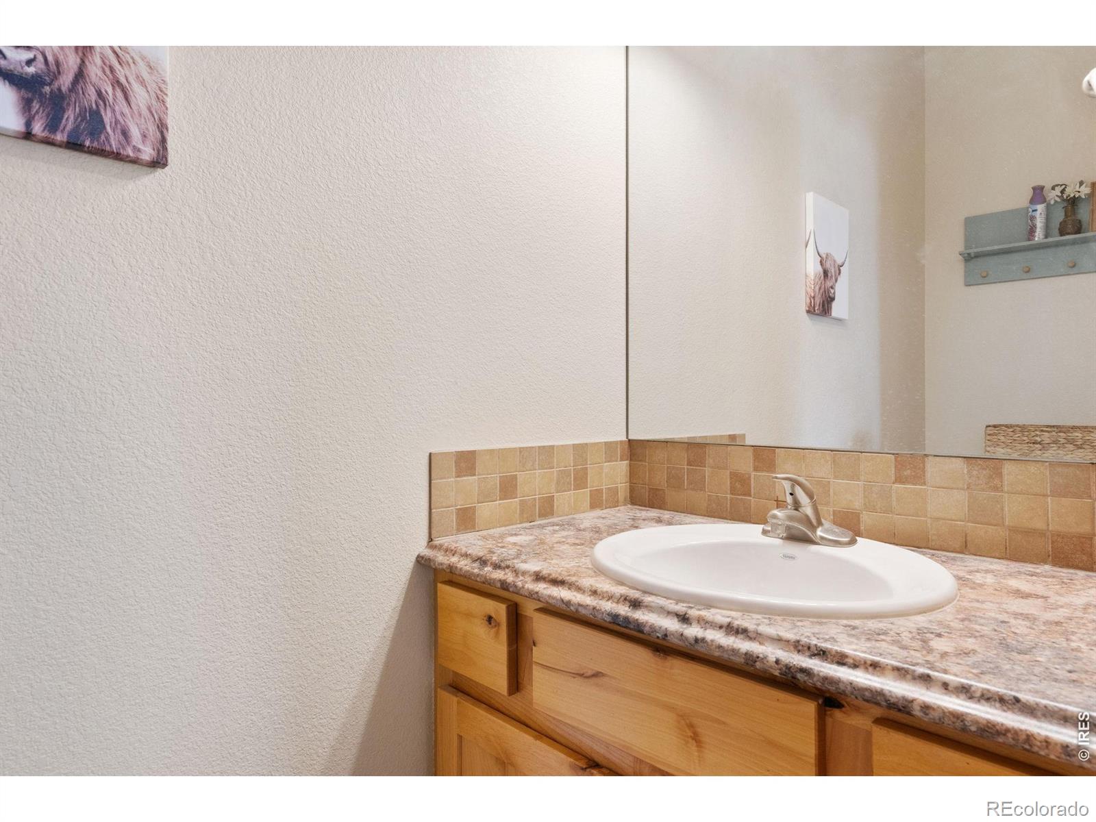 6861 Mount Toll Court Wellington CO 80549