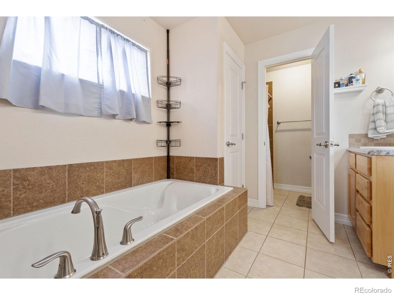6861 Mount Toll Court Wellington CO 80549