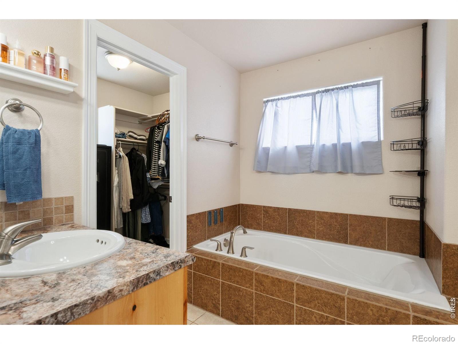 6861 Mount Toll Court Wellington CO 80549