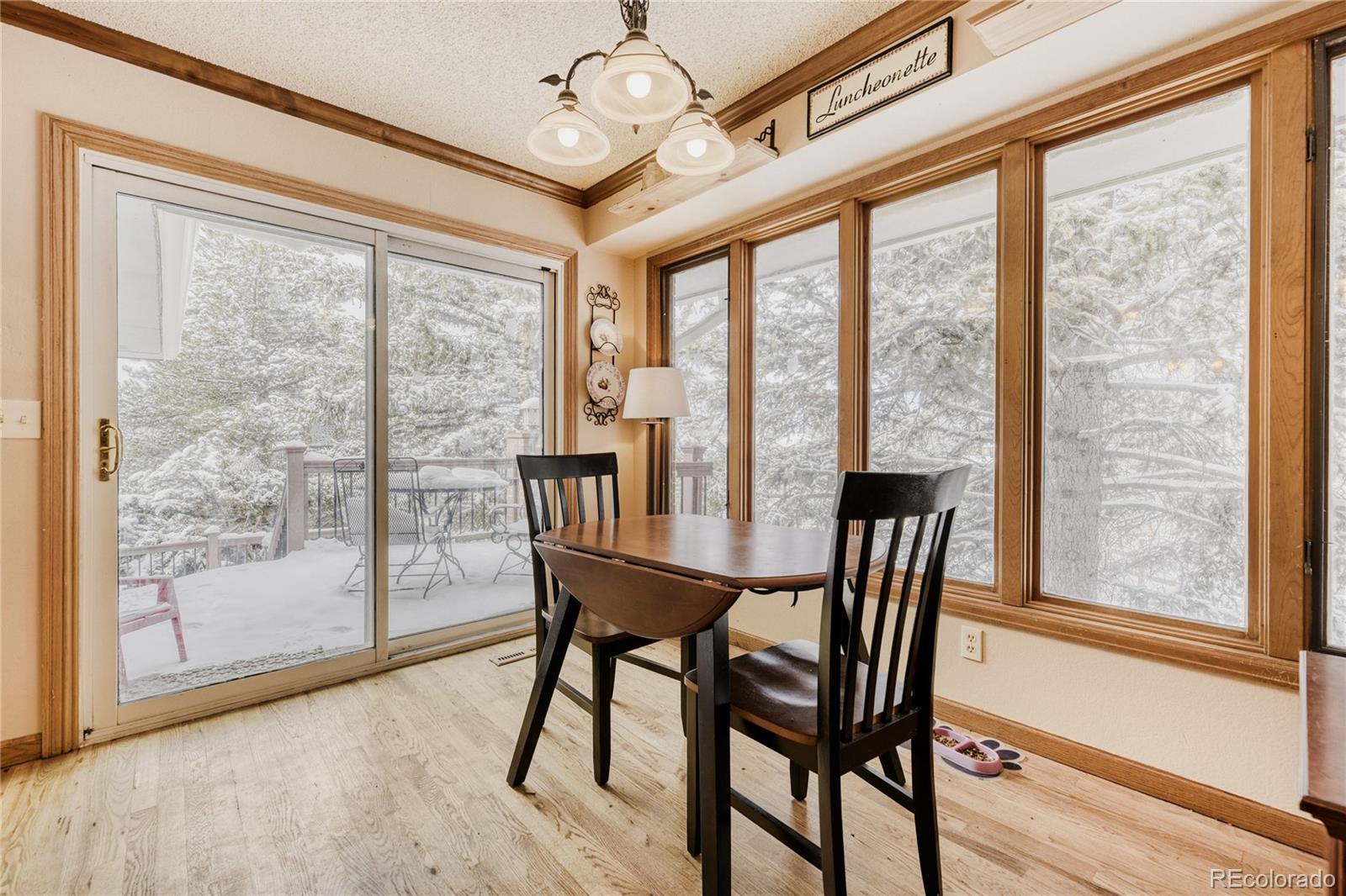 212 Kelsey Place Castle Rock CO 80104