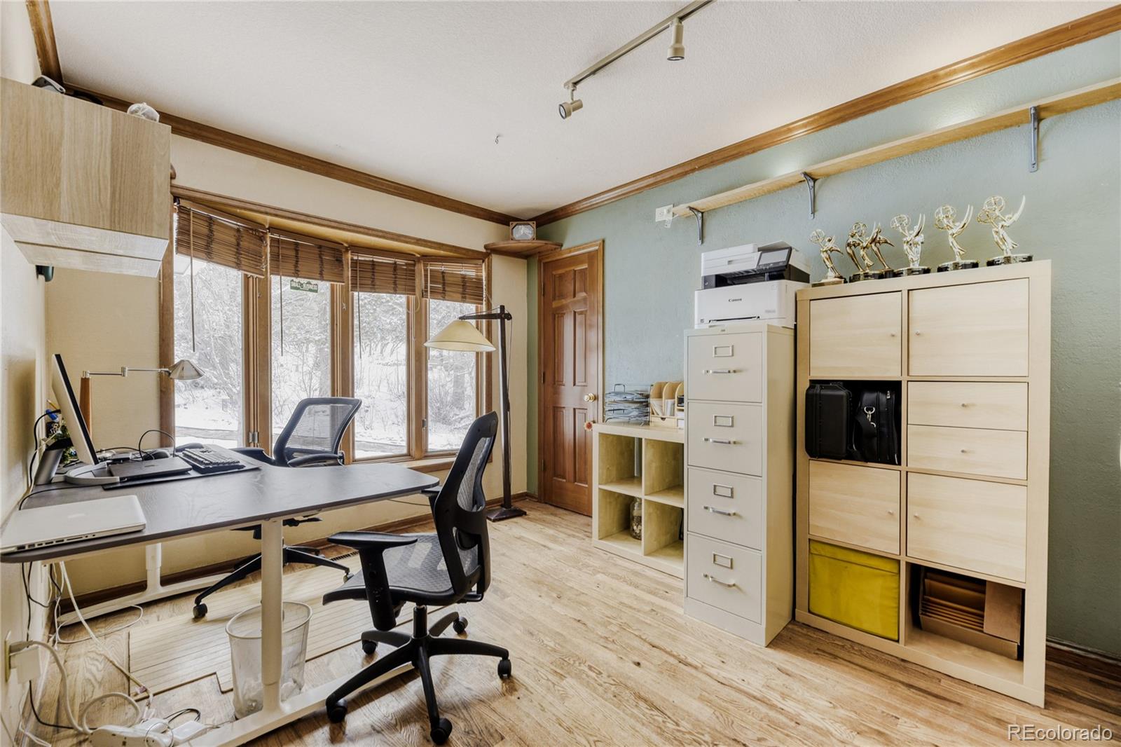 212 Kelsey Place Castle Rock CO 80104