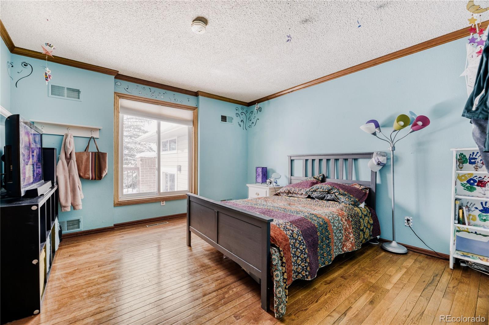 212 Kelsey Place Castle Rock CO 80104