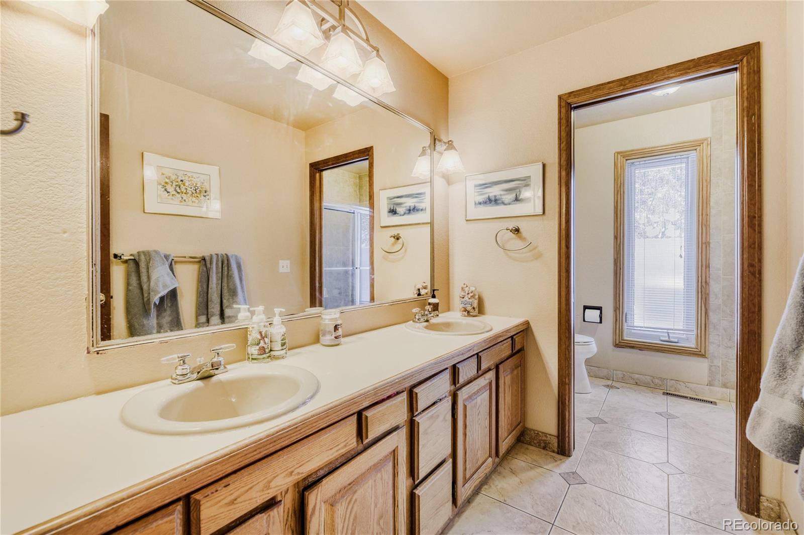 212 Kelsey Place Castle Rock CO 80104
