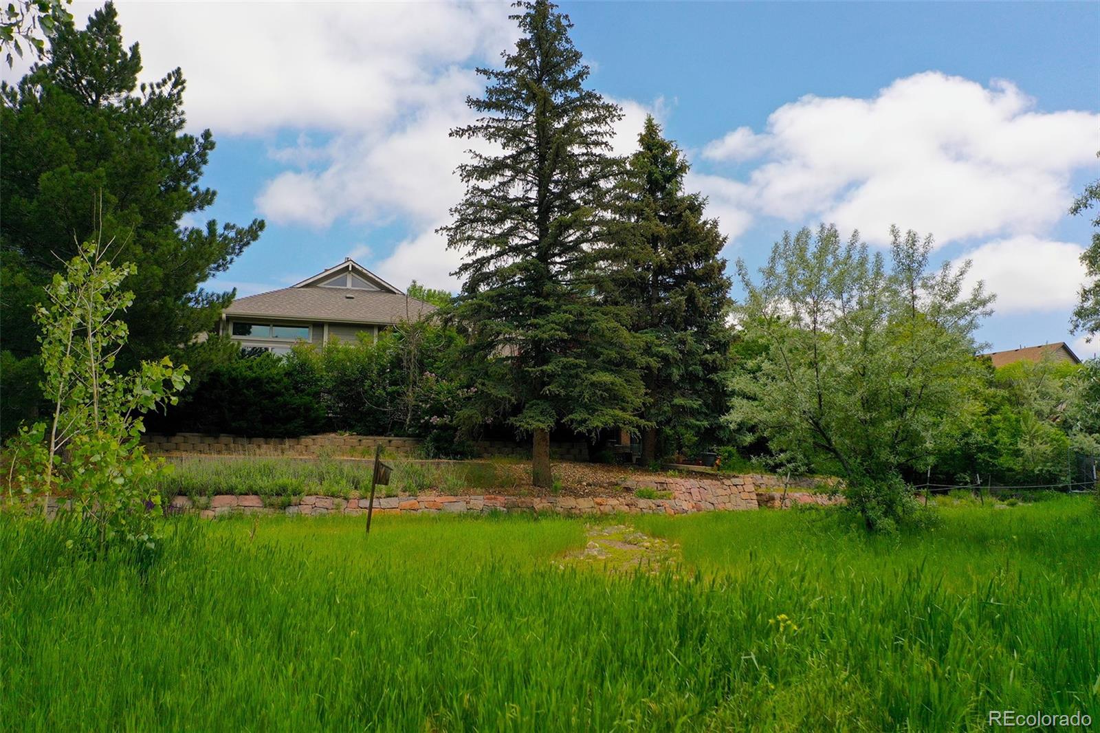 212 Kelsey Place Castle Rock CO 80104