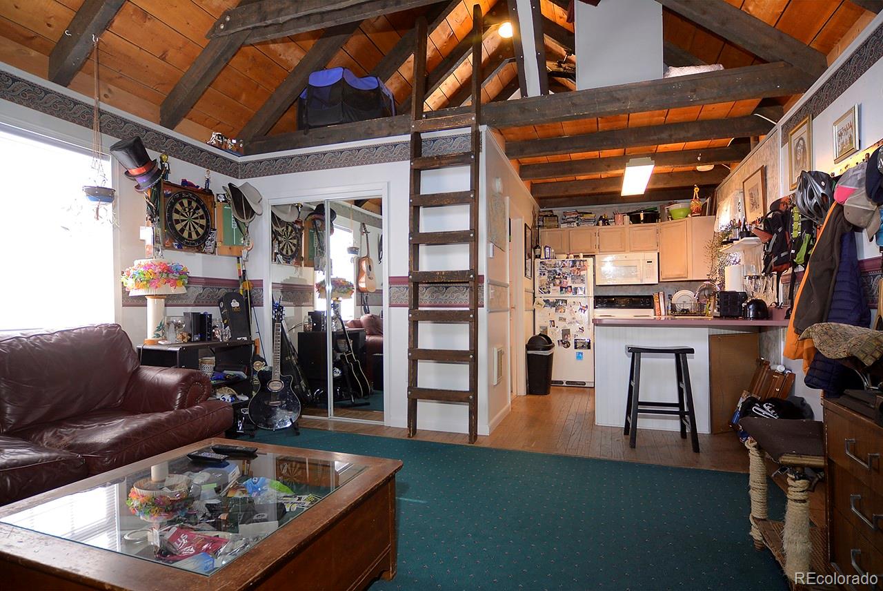 308 Whiterock Avenue Crested Butte CO 81224