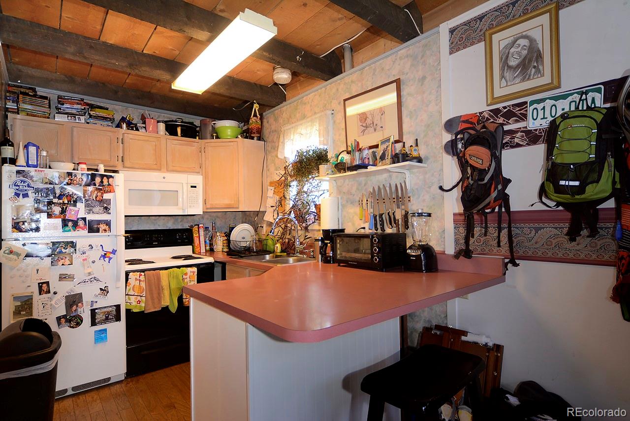 308 Whiterock Avenue Crested Butte CO 81224